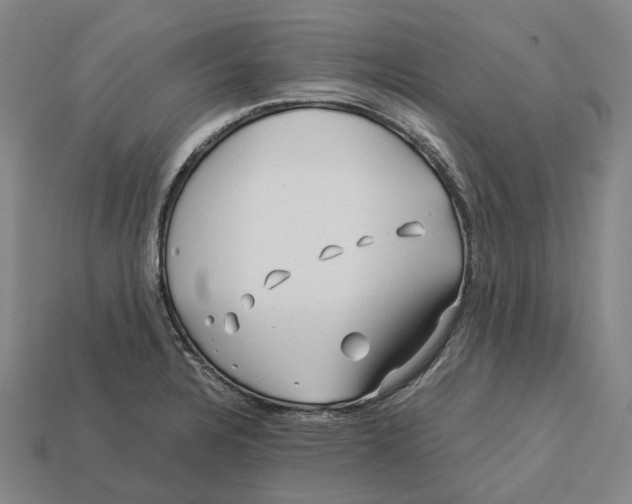 X0000113091328200909251002