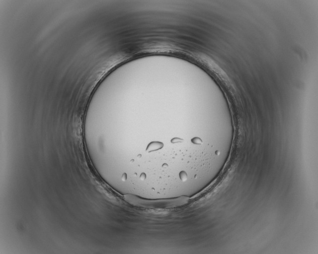 X0000113091329200909251002