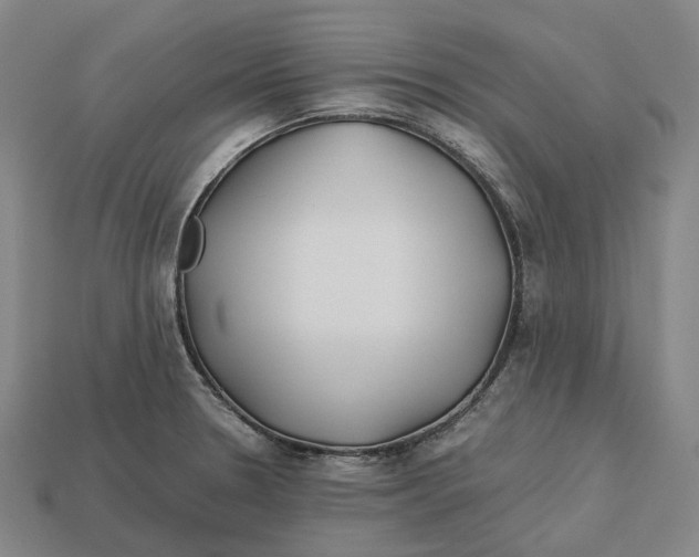 X0000113091330200909251002