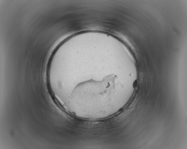 X0000113091331200909251002