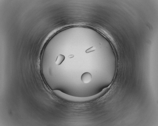 X0000113091332200909251002