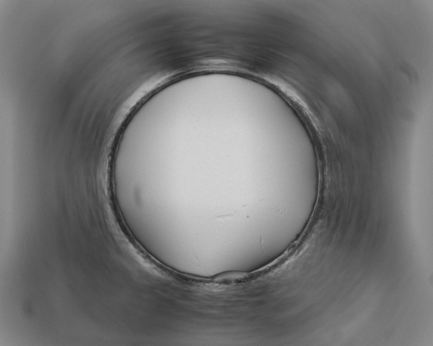 X0000113091333200909251002