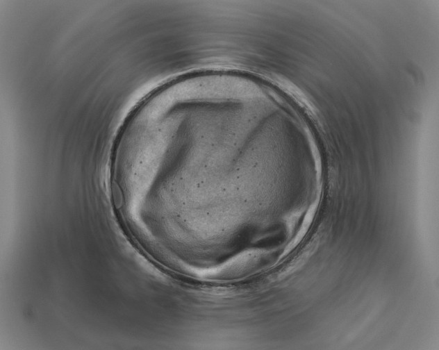 X0000113091334200909251002