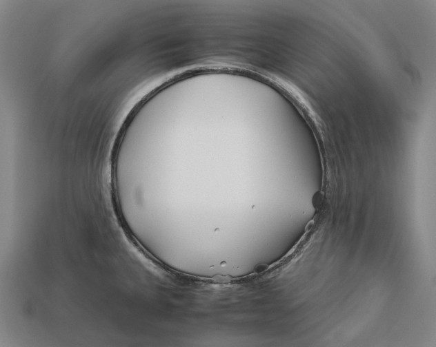 X0000113091335200909251002