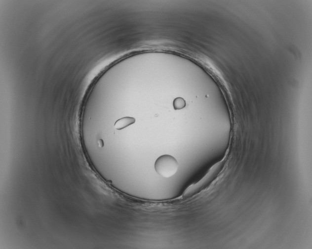 X0000113091336200909251002