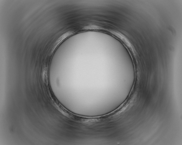 X0000113091337200909251002