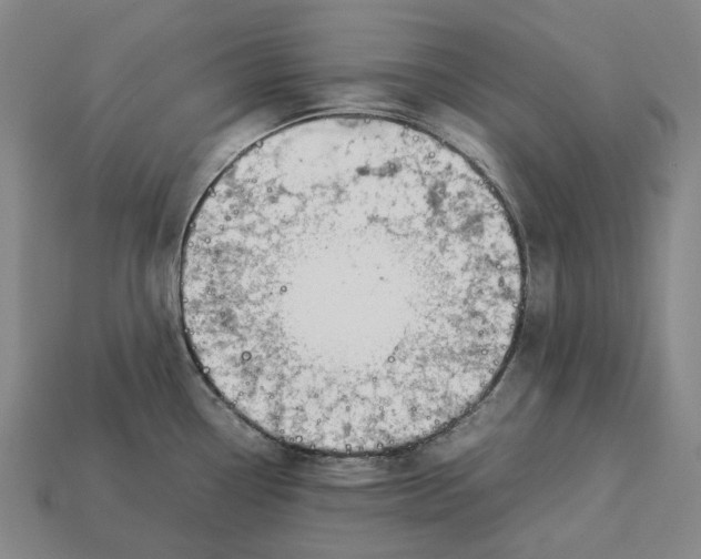 X0000113091338200909251002