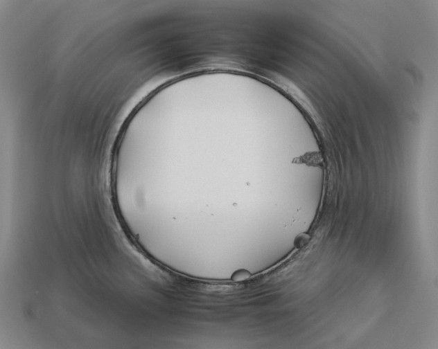 X0000113091339200909251002