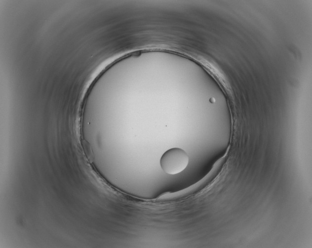 X0000113091340200909251002