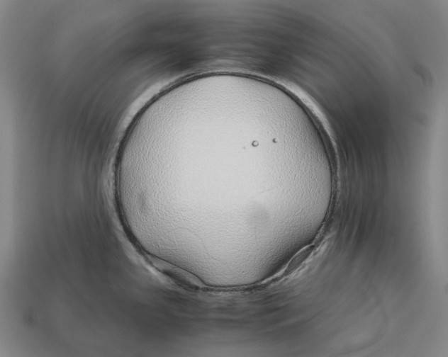 X0000113091341200909251002