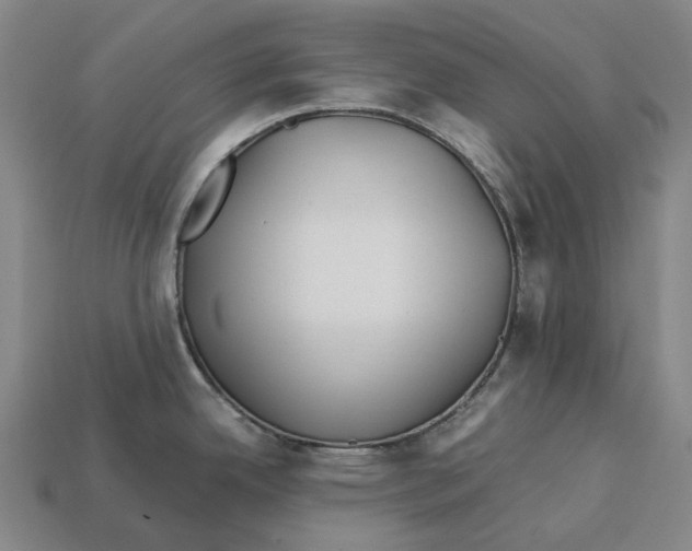 X0000113091342200909251002