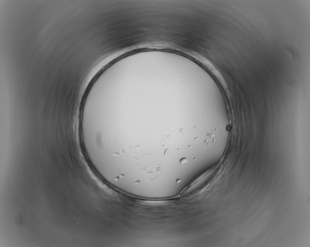 X0000113091343200909251002