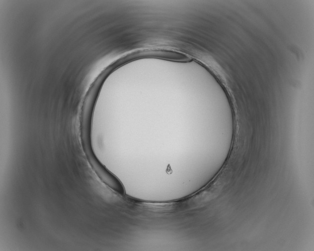 X0000113091344200909251002