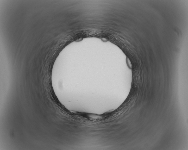 X0000113091345200909251001