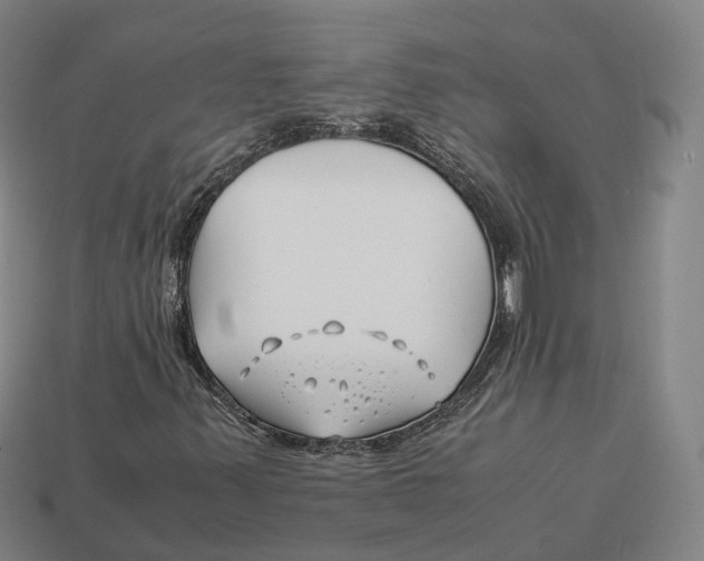 X0000113091347200909251001