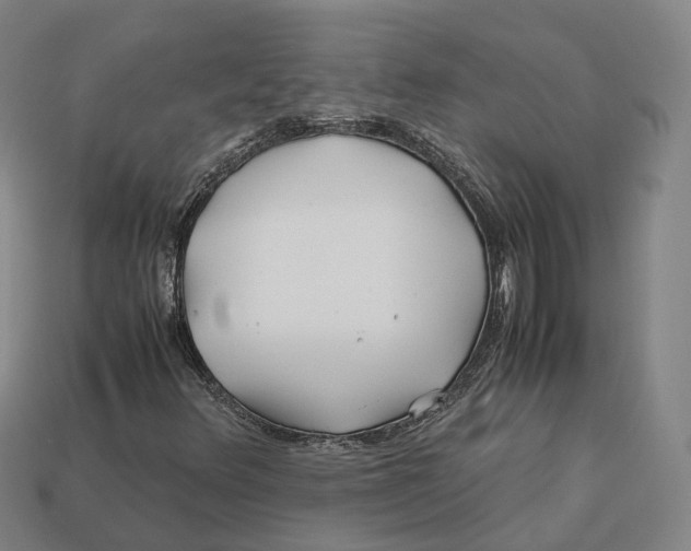 X0000113091348200909251001