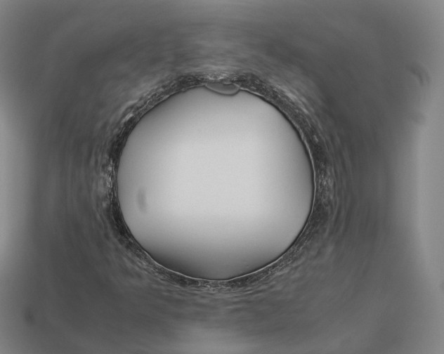 X0000113091349200909251001