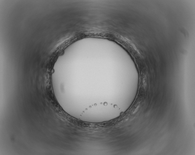 X0000113091350200909251001