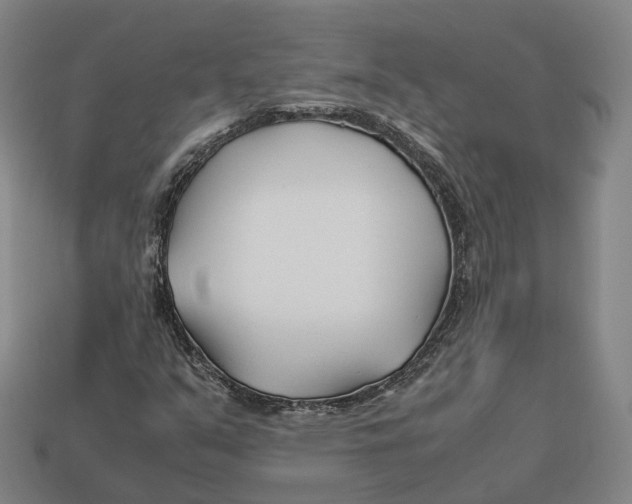 X0000113091351200909251001