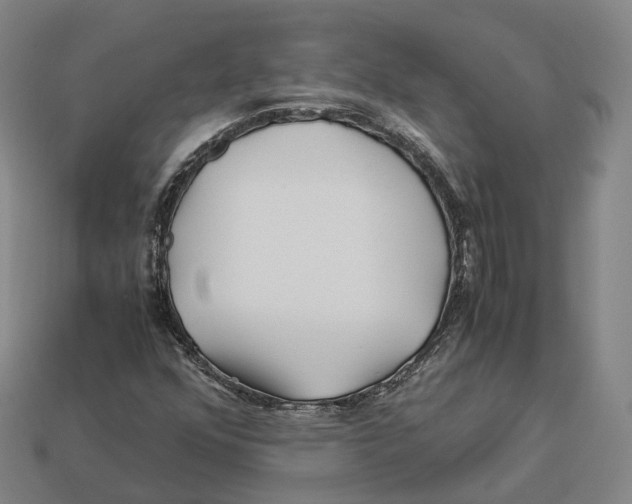 X0000113091352200909251001