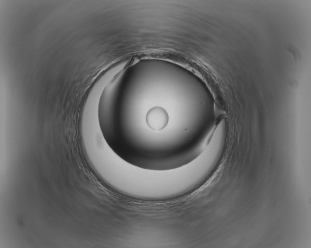 X0000113091353200909251001