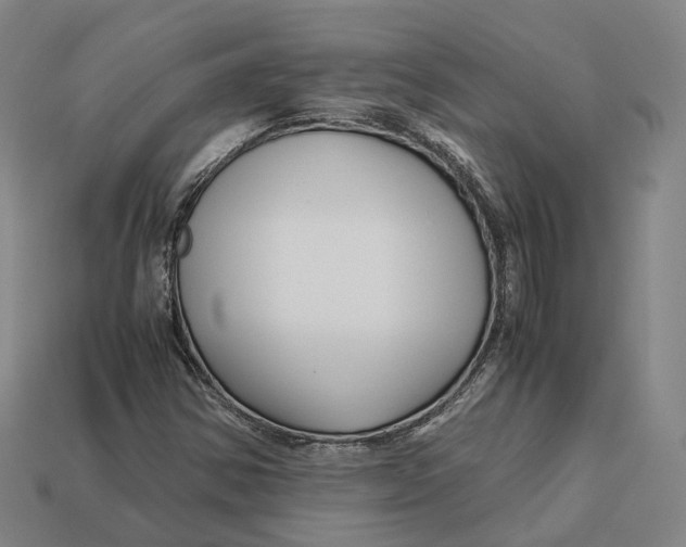 X0000113091354200909251001