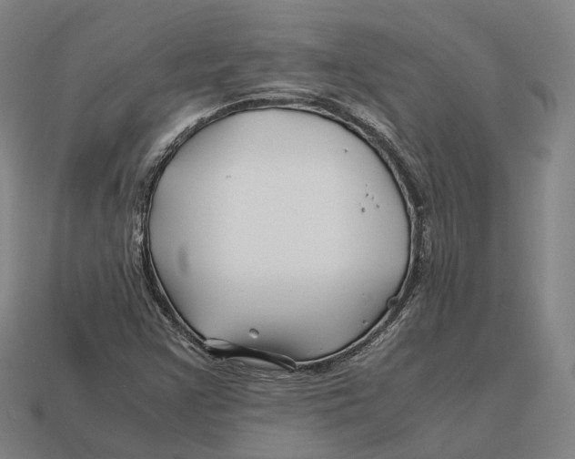 X0000113091355200909251001