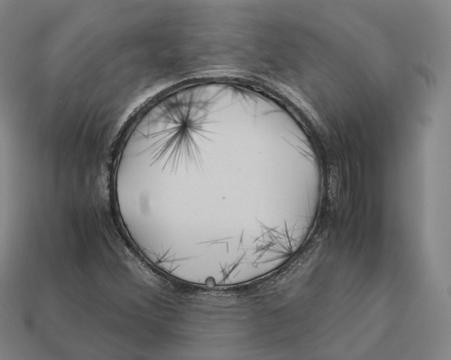 X0000113091356200909251001