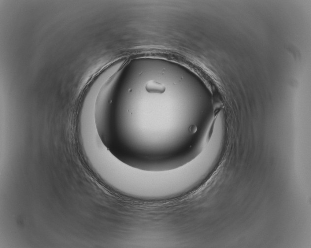 X0000113091357200909251001