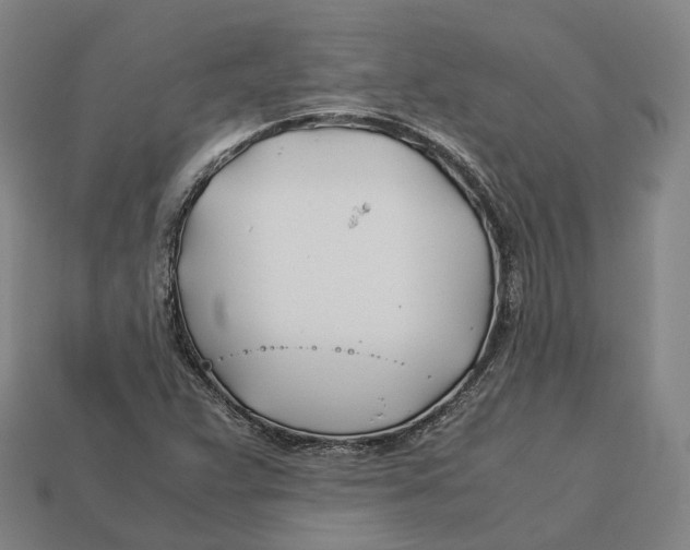 X0000113091359200909251001