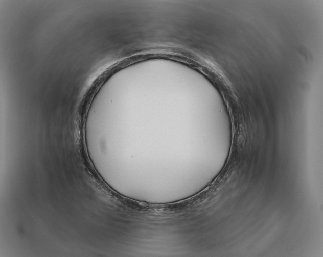 X0000113091360200909251001