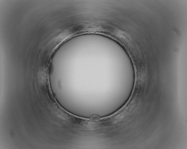 X0000113091361200909251001