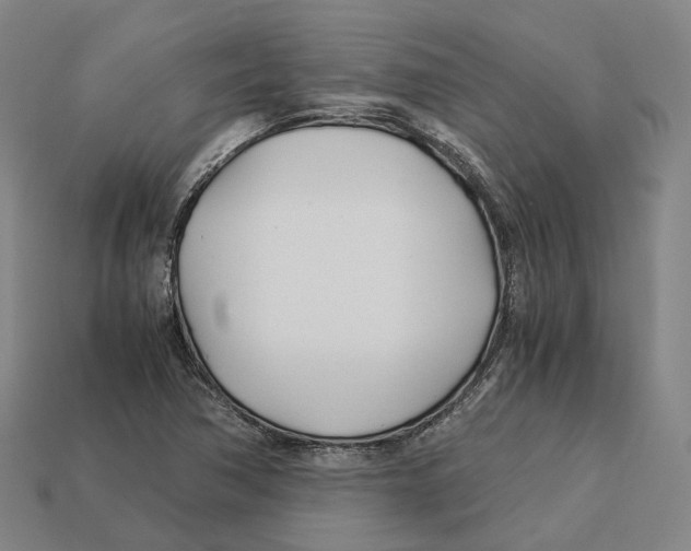 X0000113091362200909251001