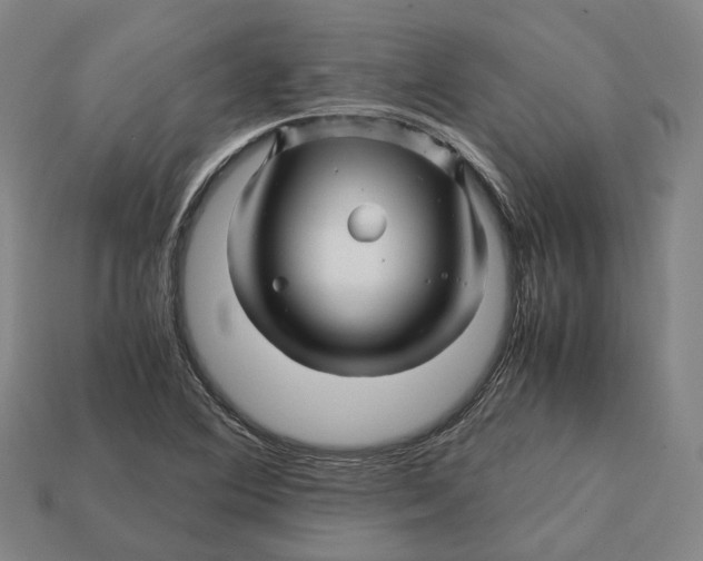 X0000113091364200909251001