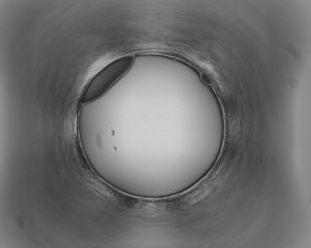 X0000113091365200909251001