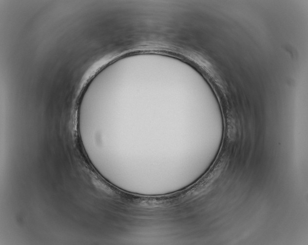 X0000113091366200909251001