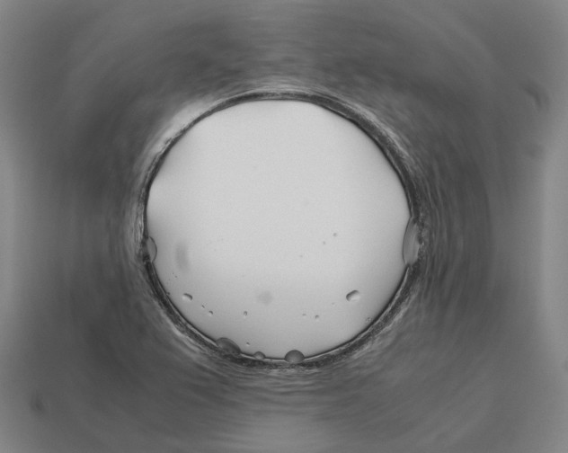 X0000113091367200909251001