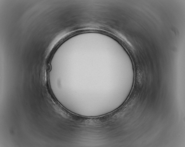 X0000113091368200909251001