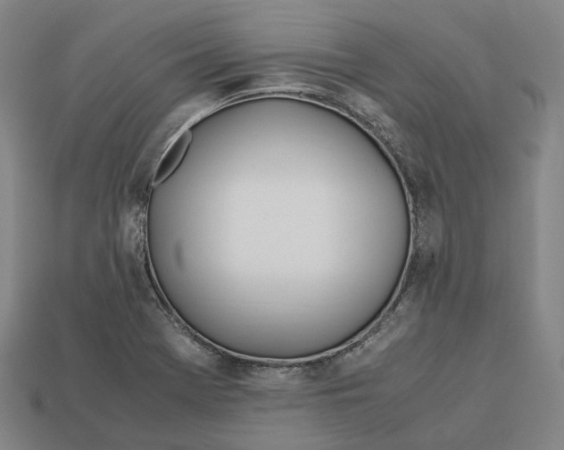 X0000113091369200909251001