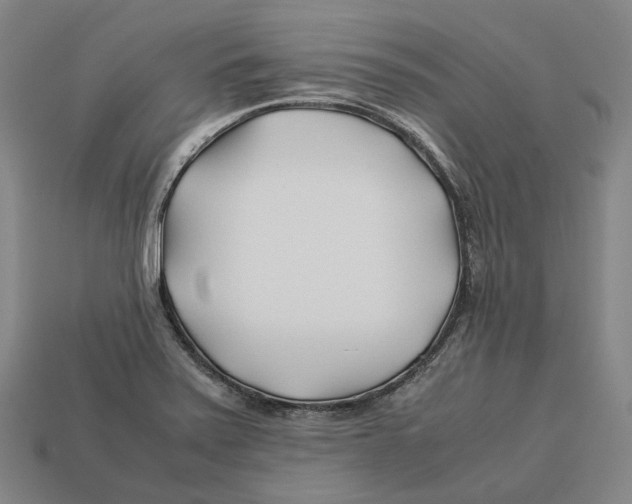 X0000113091371200909251001