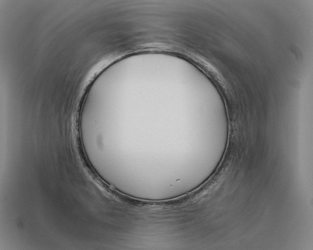 X0000113091373200909251001