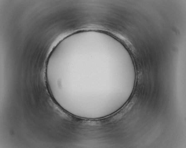 X0000113091374200909251001