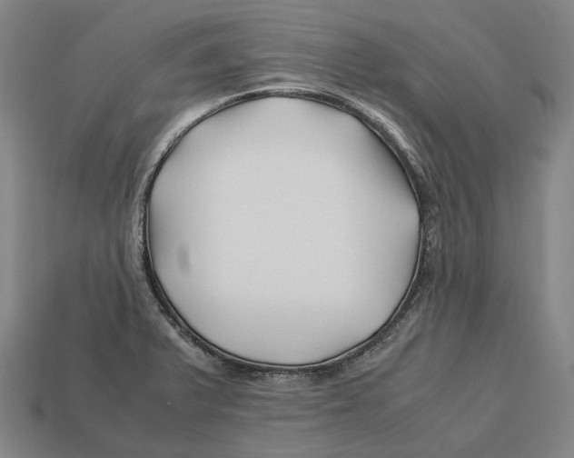 X0000113091375200909251001