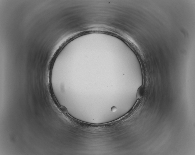 X0000113091376200909251001