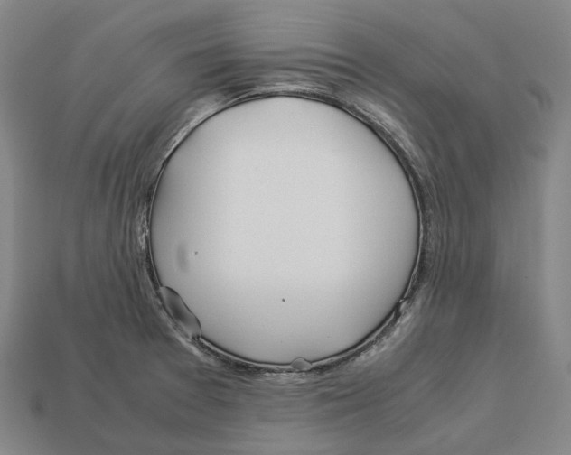 X0000113091377200909251001