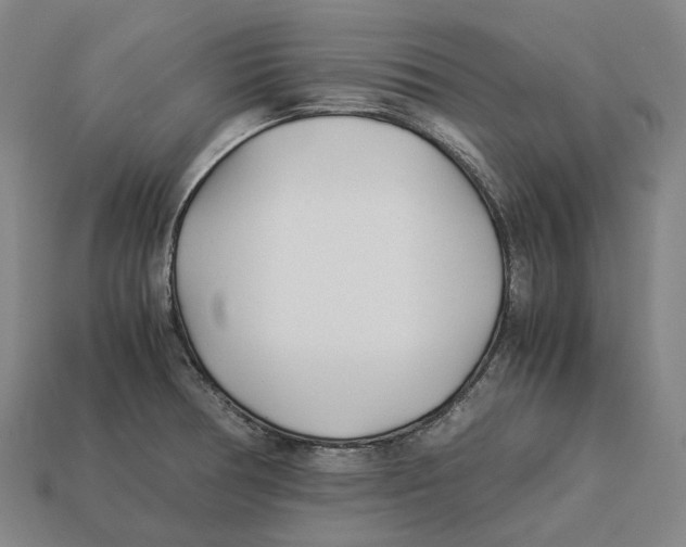 X0000113091378200909251001