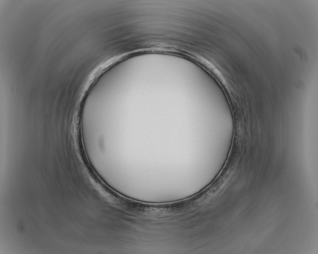 X0000113091379200909251001