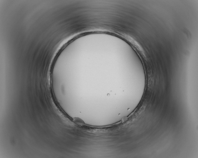 X0000113091380200909251001