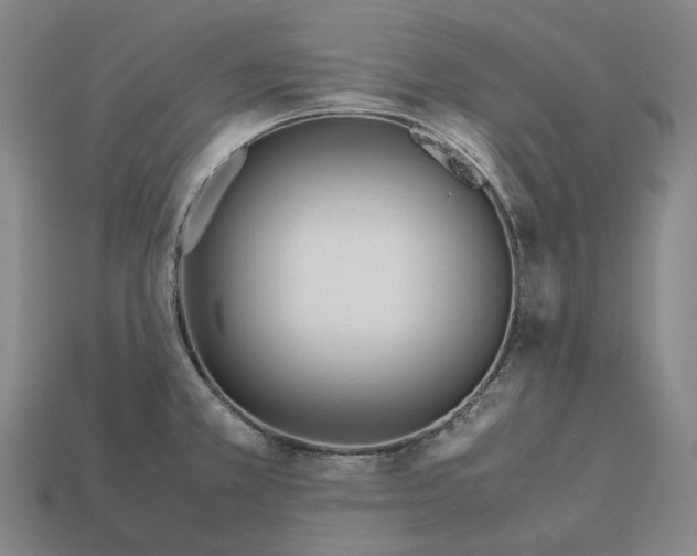 X0000113091381200909251001