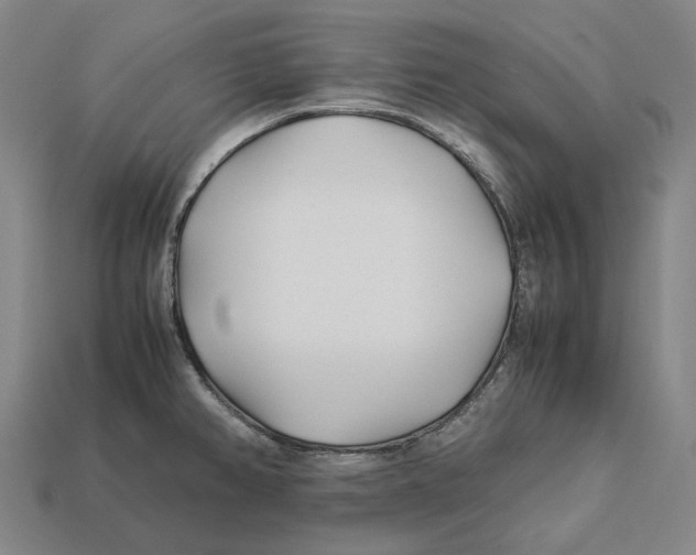 X0000113091382200909251001